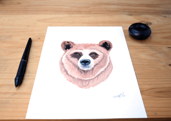Affiche Ours / ÉDITION LIMITÉE – Image 4