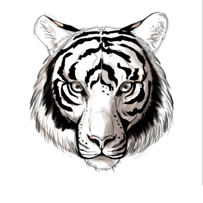Affiche Tigre / ANI-SQUELETTE / ÉDITION LIMITÉE – Image 4