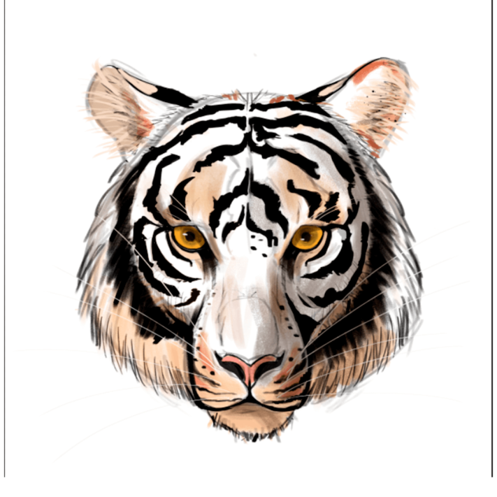 Affiche Tigre / ANI-SQUELETTE / ÉDITION LIMITÉE – Image 5