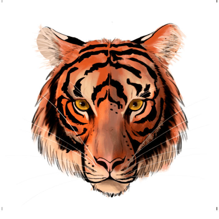 Affiche Tigre / ANI-SQUELETTE / ÉDITION LIMITÉE – Image 6
